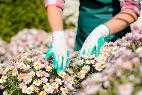 Workers wearing PPE while pruning and maintaining a garden