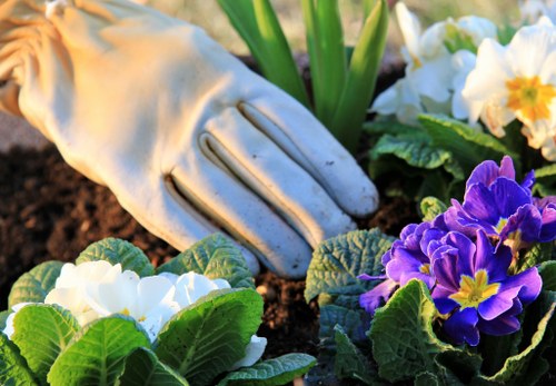 Insurance paperwork and policy documents for a gardening company