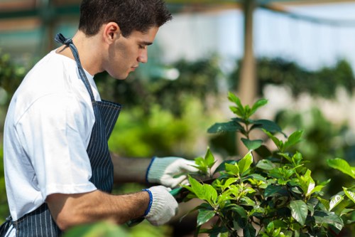 Gardener demonstrating pruning techniques in a Balham backyard